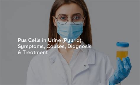 pus cells normal value|Pyuria: Causes, Symptoms, Management & Treatment.